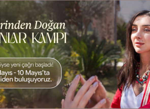 Web Version